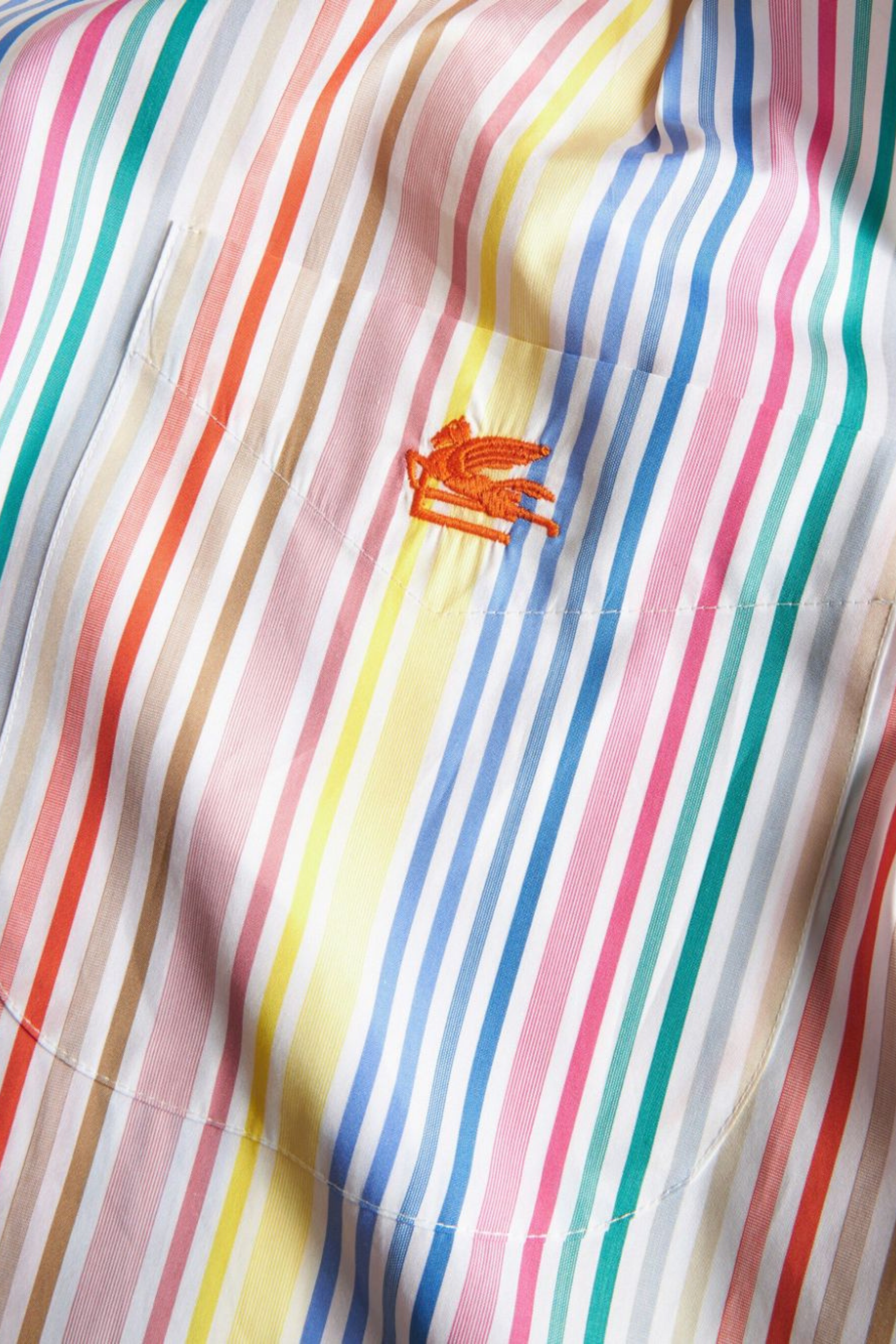 Multicolour striped shirt - Etro